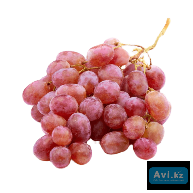 Тайпи (күздік) Туркестанская область - изображение 1