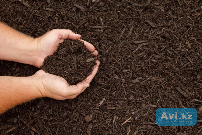 Мульча Туркестанская область - изображение 1