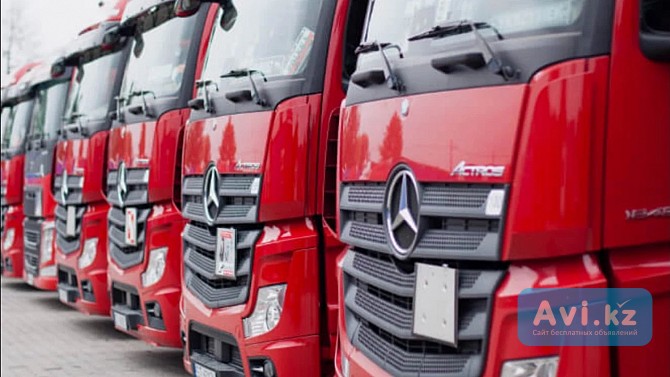 Труд для водителей C+e — современная техника, хорошие условия, Польша Алматы - изображение 1