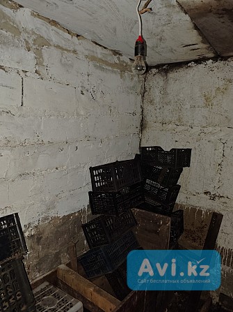 Овощехранилище возле алюминиевого завода Павлодар - изображение 1