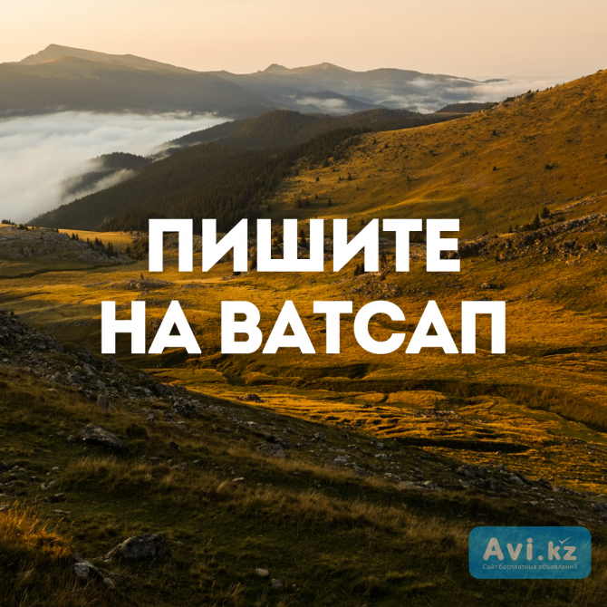 Деньги под процент - деньги в долг - деньги без предоплаты Каскелен - изображение 1