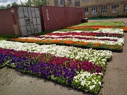 Предварительный приём заказов на 2026 Караганда