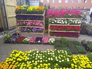 Предварительный приём заказов на 2026 Караганда