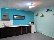 Дом 55 м<sup>2</sup> на участке 3.5 соток Алматы