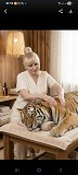 Настоящий массаж Алматы
