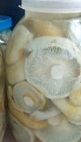 Продам грузди соленые отварные Зеренда