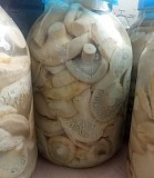 Продам грузди соленые отварные Зеренда