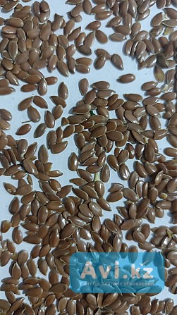 Продам Лён Караганда - изображение 1