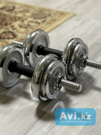 Гантели наборные новые Тараз - изображение 1