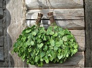 Веники для бани Алматы