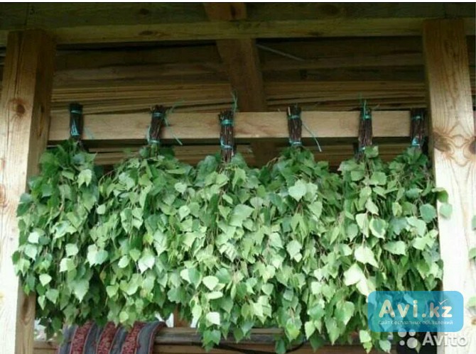 Веники для бани Алматы - изображение 1