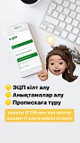 Ип услуги , эцп услуги , декларация 250, 270 Алматы