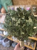 Веники березовые для бани доставка из г.Петропавловск