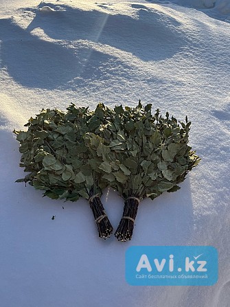 Веники березовые для бани Петропавловск - изображение 1