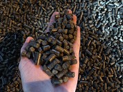 Польская фирма покупает топливную гранулу из шелухи подсолнечника вагонными нормами на условиях Dap Алматы