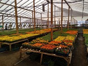 Предзаказ на 2026 год Караганда