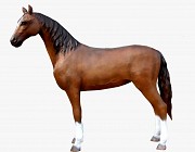 Продажа - изготовление Маф, фонтаны, вазоны, клумбы, скульптуры садовые, скульптуры животных Алматы