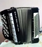 Концертный баян Риддер