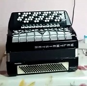 Концертный баян Риддер