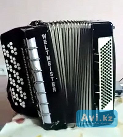 Концертный баян Риддер - изображение 1