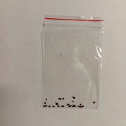 Семена туласи, в пакетике, для выращивания дома доставка из г.Москва