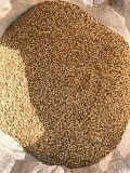 Продаю Кормовой Ячмень (меркенский Район) Мерке