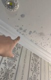 Удаление пятен на потолке 100% гарантия Алматы