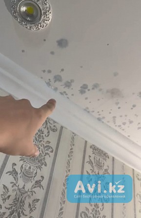 Удаление пятен на потолке 100% гарантия Алматы - изображение 1