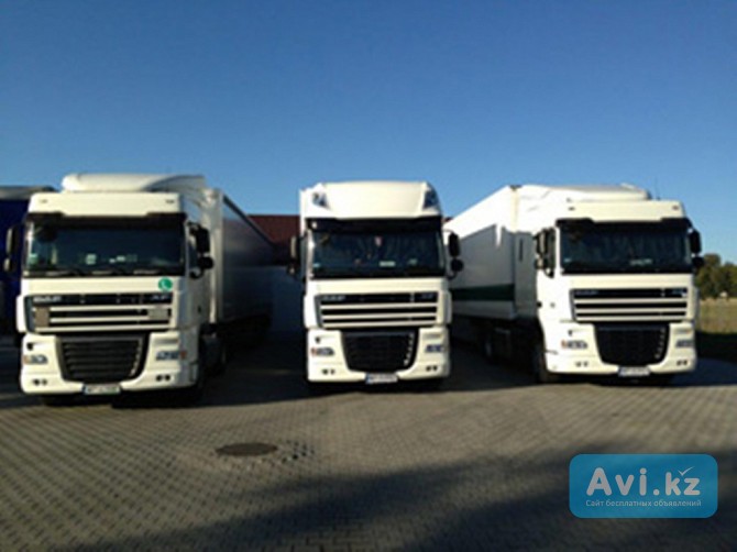 Работа водителем C+e в двойном экипаже, Польша — хорошие условия, высокие ставки Алматы - изображение 1