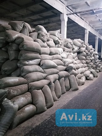 Шелуха подсолнечника в мешках продам Астана - изображение 1