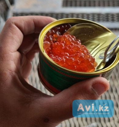 Кира красная: Лосось, чавыча, кета Костанай - изображение 1