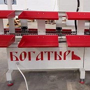 Конвейер люлечный «богатырь» производства Mozes Inc Другой город России