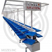 Конвейер люлечный «богатырь» производства Mozes Inc Другой город России