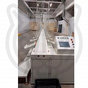 Ленточный адресный конвейер производства Mozes Inc Другой город России