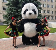 Аниматор Панда Рудный