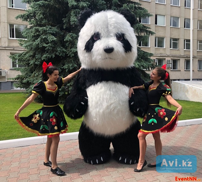 Аниматор Панда Рудный - изображение 1