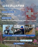 Работа на ферме в Швейцарии Алматы