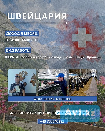 Работа на ферме в Швейцарии Алматы - изображение 1