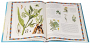 Подарочное издание. Иллюстрированный календарь русской природы. Бутромеев В.п Атырау