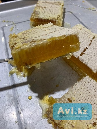 Мёд В Сотах, 145*435 мм целиковые полурамки Алматы - изображение 1