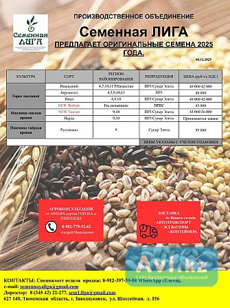 Оригинальные Семена ОТ Оригинатора Другой город России - изображение 1
