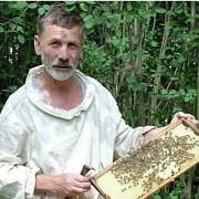 Гречишный мёд - вкуснятина сразу с пасеки Алматы