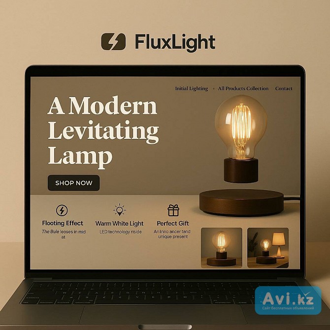 Готовый интернет-магазин — доход от $1.000 Flux Light shopify дропшиппинг Алматы - изображение 1