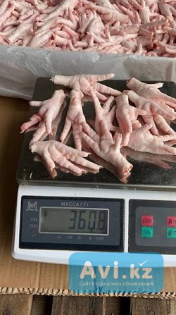 Куриные лапки paws feet из Ирана Костанай - изображение 1