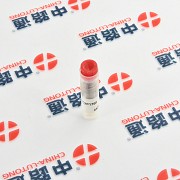 Fuel Injection Nozzle 093400-9660 supplier Астана