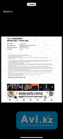 Продам билет в фан зону 2 на Тилль Линдеманн Алматы - изображение 1